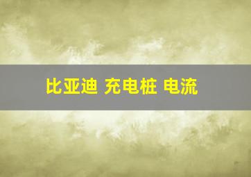 比亚迪 充电桩 电流